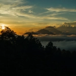 Wild West Gold демонстрирует устойчивый рост популярности среди слотов