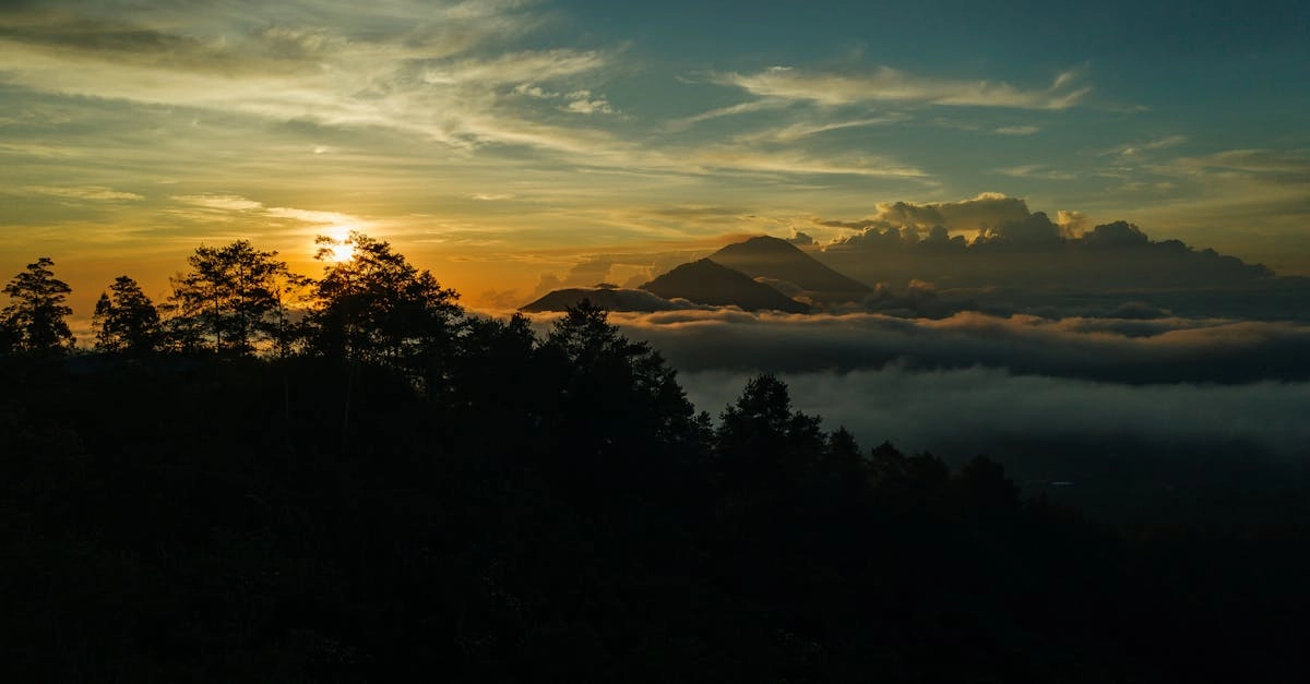 Wild West Gold демонстрирует устойчивый рост популярности среди слотов